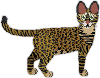 Samwar